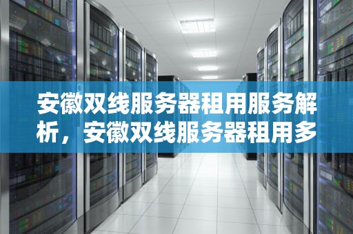 安徽双线服务器租用服务解析，安徽双线服务器租用多少钱