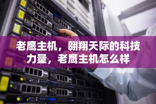 老鹰主机，翱翔天际的科技力量，老鹰主机怎么样