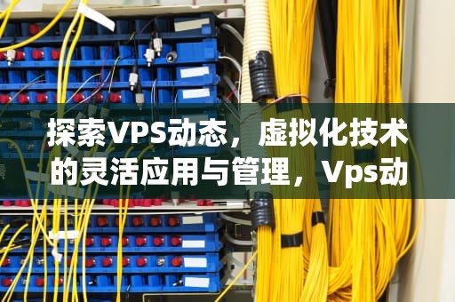 探索VPS动态，虚拟化技术的灵活应用与管理，Vps动态服务器