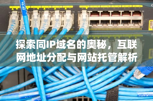 探索同IP域名的奥秘，互联网地址分配与网站托管解析，同ip域名查询