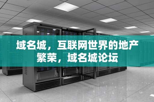 域名城，互联网世界的地产繁荣，域名城论坛