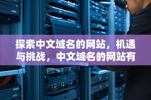 探索中文域名的网站，机遇与挑战，中文域名的网站有哪些