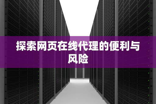 探索网页在线代理的便利与风险