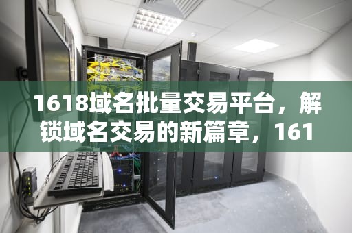 1618域名批量交易平台，解锁域名交易的新篇章，1618域名事件最新进展