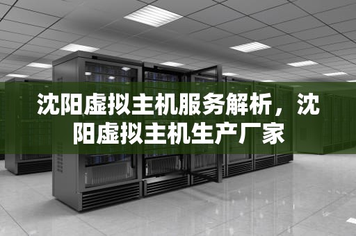 沈阳虚拟主机服务解析，沈阳虚拟主机生产厂家