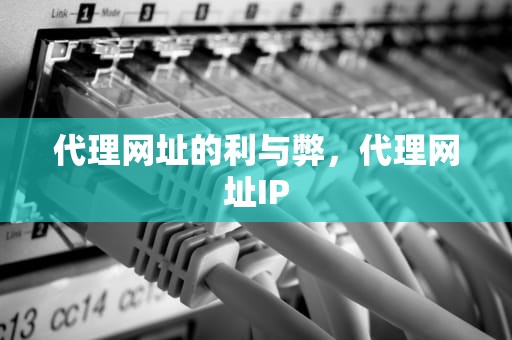 代理网址的利与弊，代理网址IP