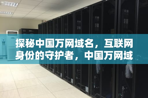 探秘中国万网域名，互联网身份的守护者，中国万网域名查询
