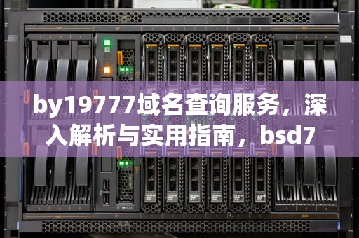 by19777域名查询服务，深入解析与实用指南，bsd77777域名查询