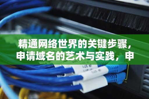 精通网络世界的关键步骤，申请域名的艺术与实践，申请域名多少钱