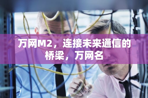 万网M2，连接未来通信的桥梁，万网名