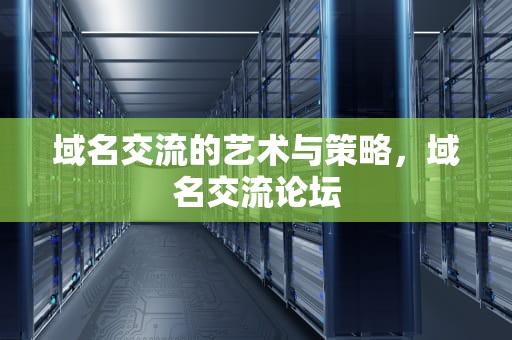 域名交流的艺术与策略，域名交流论坛