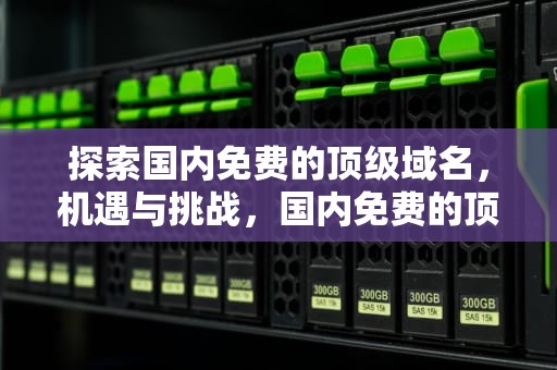 探索国内免费的顶级域名，机遇与挑战，国内免费的顶级域名有哪些