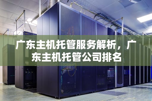 广东主机托管服务解析，广东主机托管公司排名
