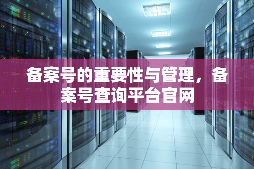 备案号的重要性与管理，备案号查询平台官网