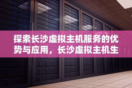 探索长沙虚拟主机服务的优势与应用，长沙虚拟主机生产厂家