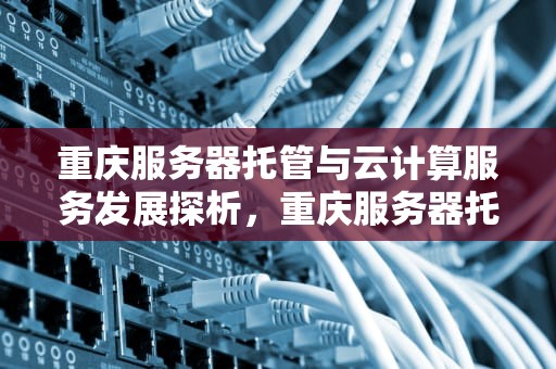 重庆服务器托管与云计算服务发展探析，重庆服务器托管