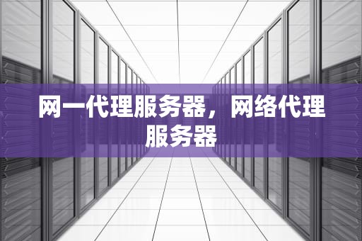 网一代理服务器，网络代理服务器