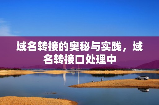 域名转接的奥秘与实践，域名转接口处理中