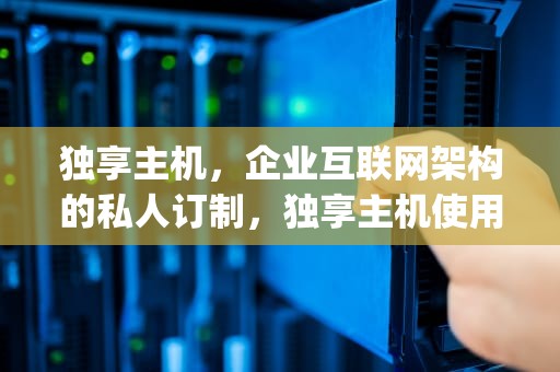 独享主机，企业互联网架构的私人订制，独享主机使用ip访问