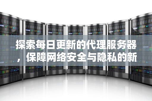 探索每日更新的代理服务器，保障网络安全与隐私的新策略，每日更新代理服务器