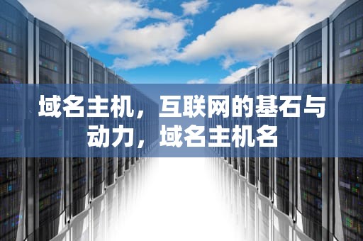 域名主机，互联网的基石与动力，域名主机名