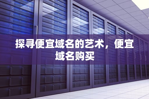 探寻便宜域名的艺术，便宜域名购买