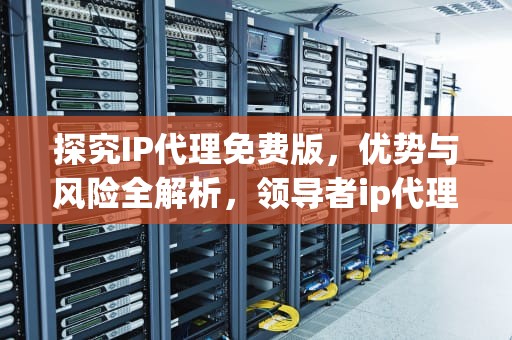 探究IP代理免费版，优势与风险全解析，领导者ip代理免费版