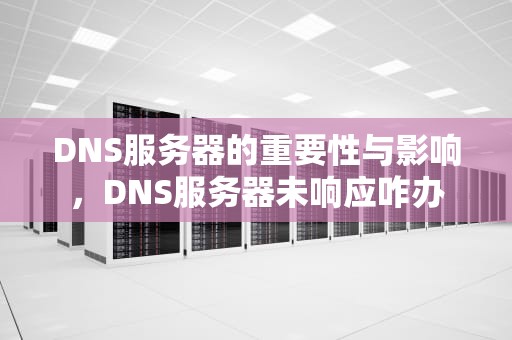 DNS服务器的重要性与影响，DNS服务器未响应咋办