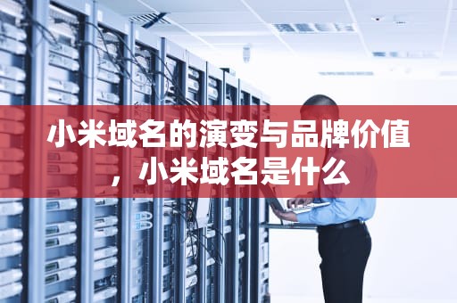 小米域名的演变与品牌价值，小米域名是什么