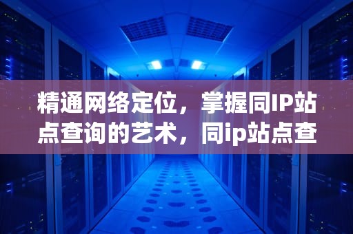 精通网络定位，掌握同IP站点查询的艺术，同ip站点查询源码