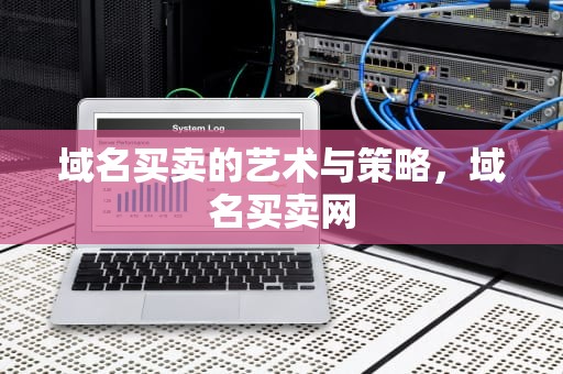域名买卖的艺术与策略，域名买卖网
