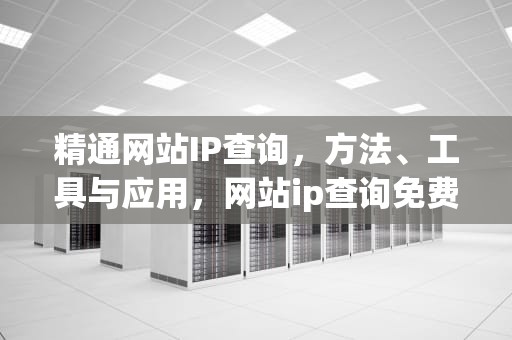 精通网站IP查询，方法、工具与应用，网站ip查询免费