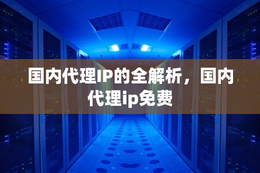 国内代理IP的全解析，国内代理ip免费