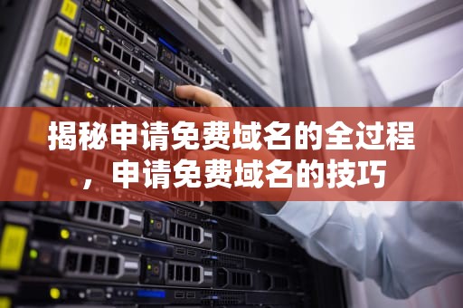 揭秘申请免费域名的全过程，申请免费域名的技巧