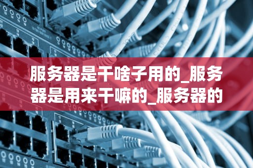 服务器是干啥子用的_服务器是用来干嘛的_服务器的用途及其在现代社会中的重要性