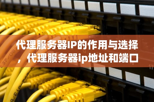 代理服务器IP的作用与选择，代理服务器ip地址和端口号怎么看