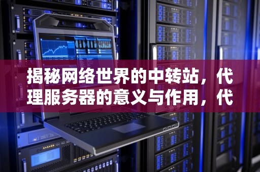 揭秘网络世界的中转站，代理服务器的意义与作用，代理服务器什么意思?