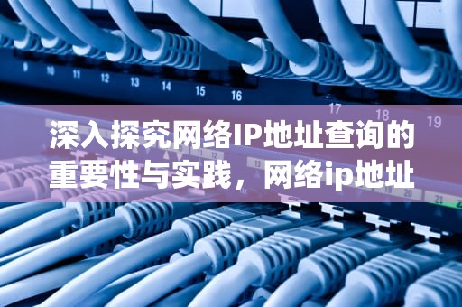 深入探究网络IP地址查询的重要性与实践，网络ip地址查询定位