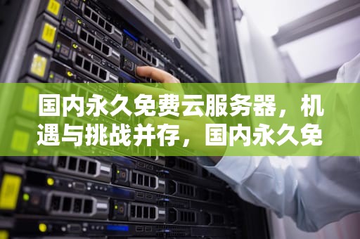国内永久免费云服务器，机遇与挑战并存，国内永久免费云服务器推荐