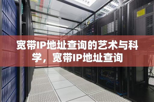 宽带IP地址查询的艺术与科学，宽带IP地址查询