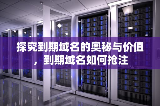 探究到期域名的奥秘与价值，到期域名如何抢注