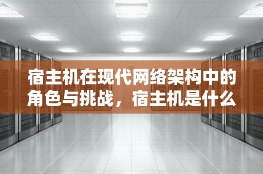 宿主机在现代网络架构中的角色与挑战，宿主机是什么意思