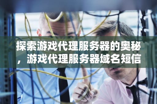 探索游戏代理服务器的奥秘，游戏代理服务器域名短信包收费