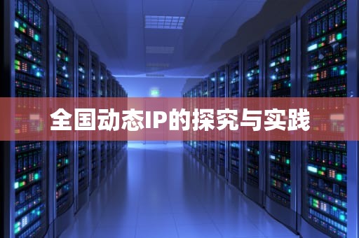 全国动态IP的探究与实践