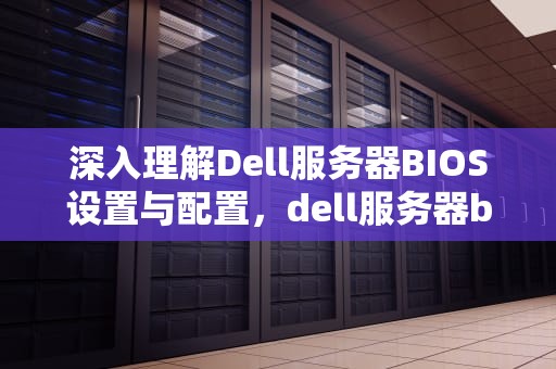 深入理解Dell服务器BIOS设置与配置，dell服务器bios设置中文