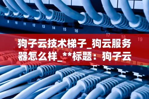 狗子云技术梯子_狗云服务器怎么样_**标题：狗子云技术梯子：探索云端技术的新篇章**