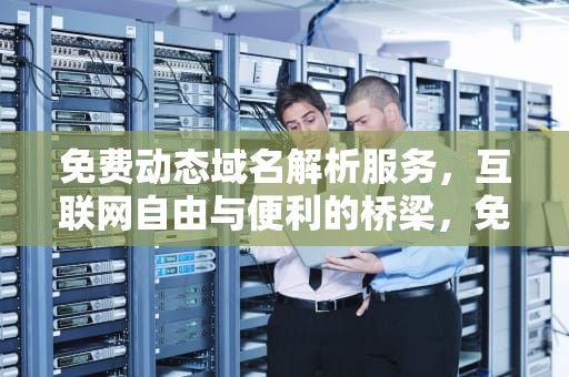 免费动态域名解析服务，互联网自由与便利的桥梁，免费动态域名哪个好