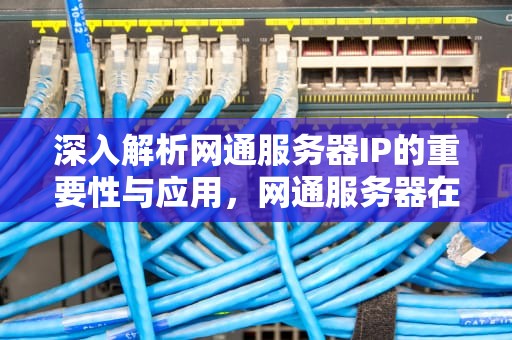 深入解析网通服务器IP的重要性与应用，网通服务器在哪