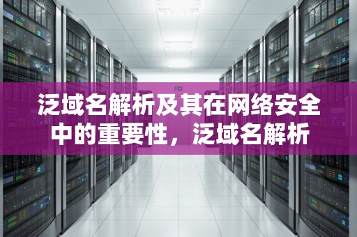 泛域名解析及其在网络安全中的重要性，泛域名解析