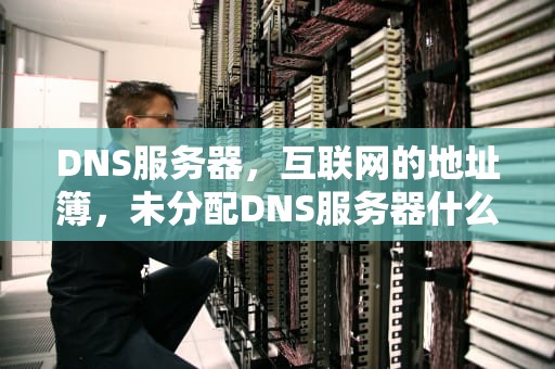 DNS服务器，互联网的地址簿，未分配DNS服务器什么意思